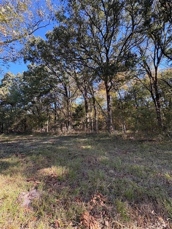 43.1 acres in Lamar County - photo 29