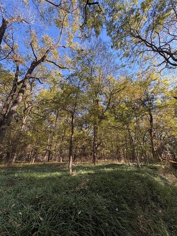 43.1 acres in Lamar County - photo 22