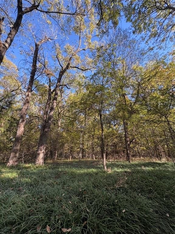 43.1 acres in Lamar County - photo 21