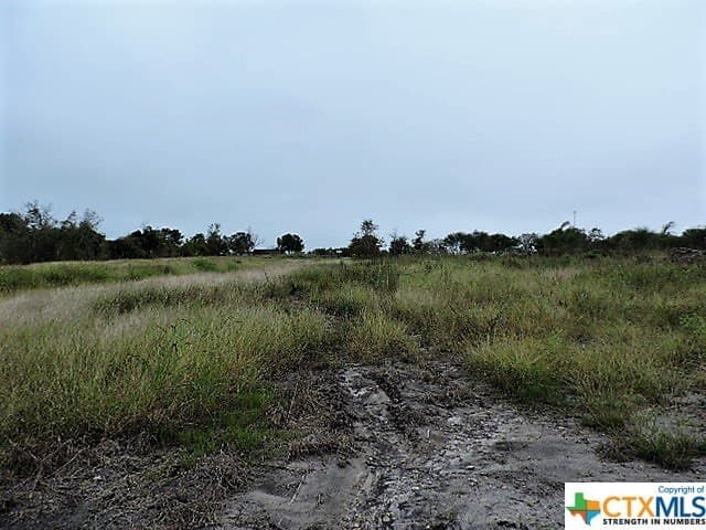 2 acres in DeWitt County - photo 2
