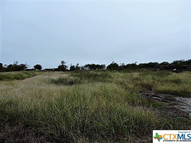 2 acres in DeWitt County - photo 3