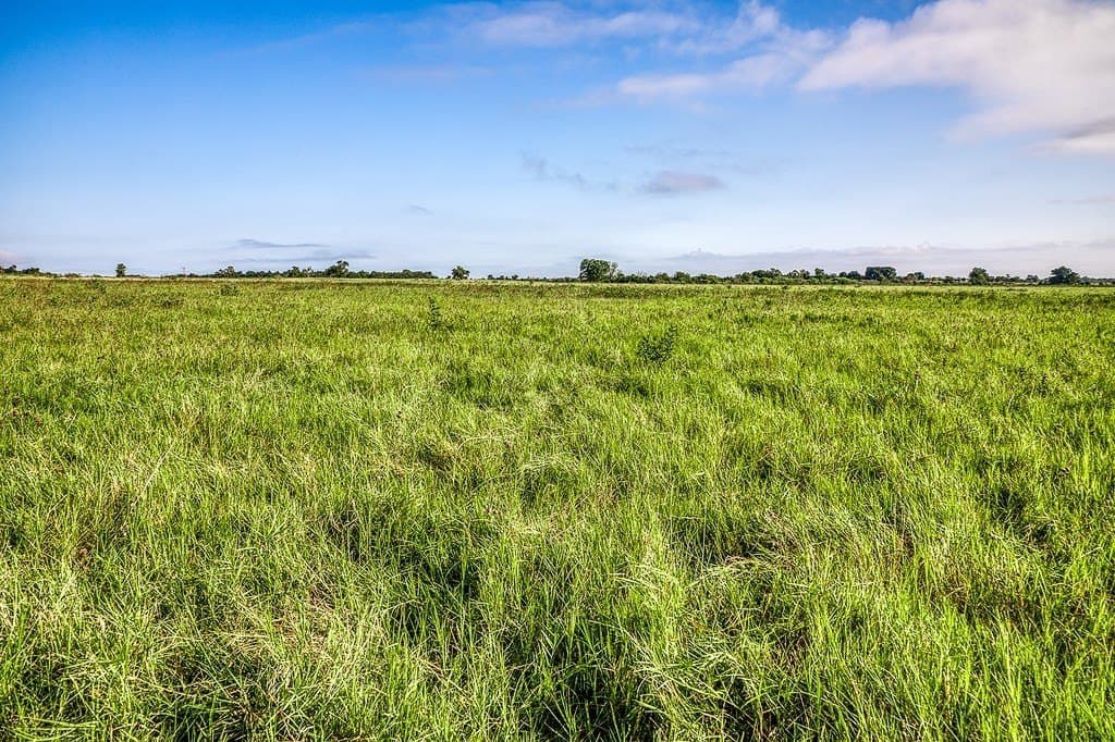 15.21 acres in Washington County - photo 6