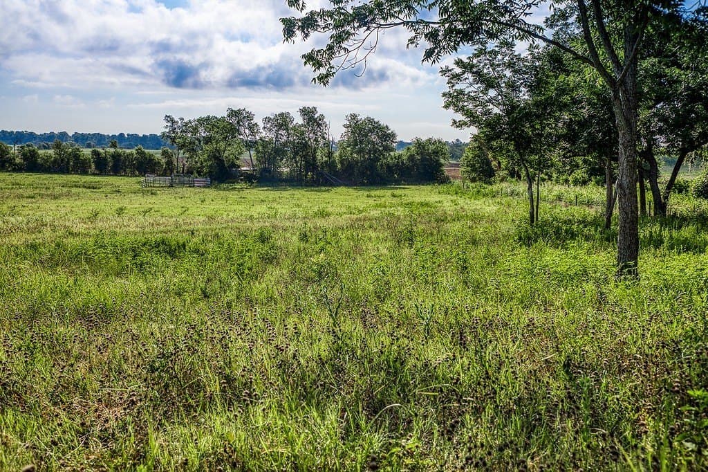 15.21 acres in Washington County - photo 4