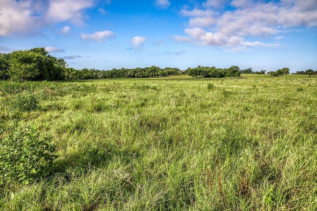 15.21 acres in Washington County - photo 8