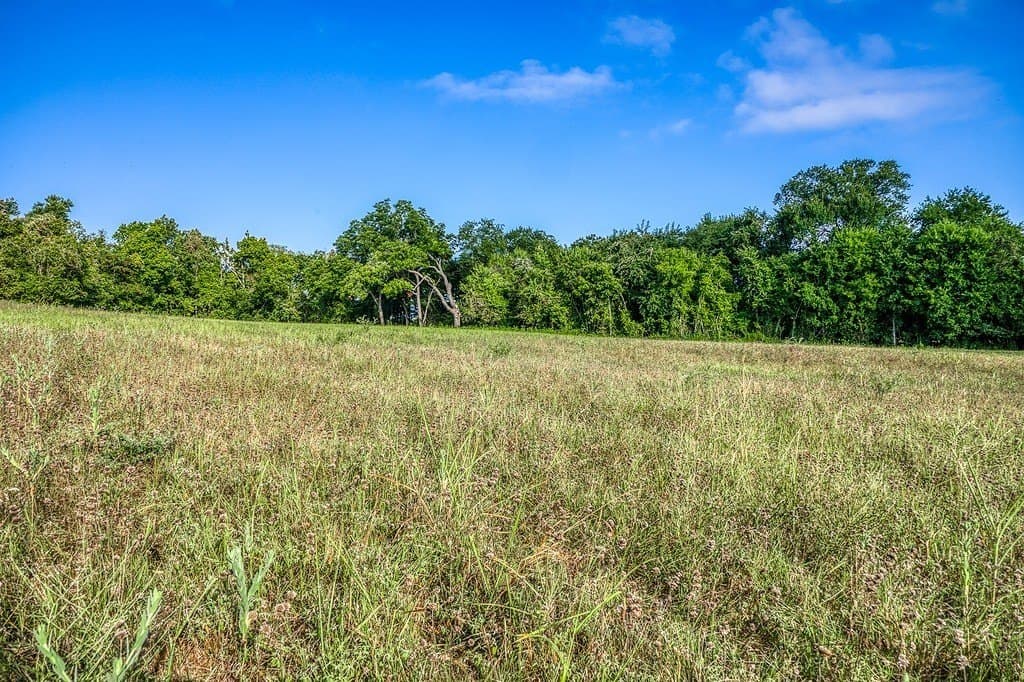 15.21 acres in Washington County - photo 7