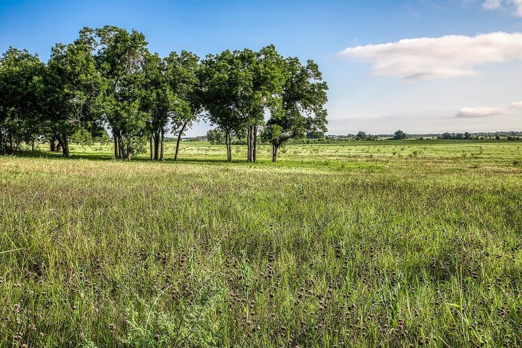 15.21 acres in Washington County - photo 3
