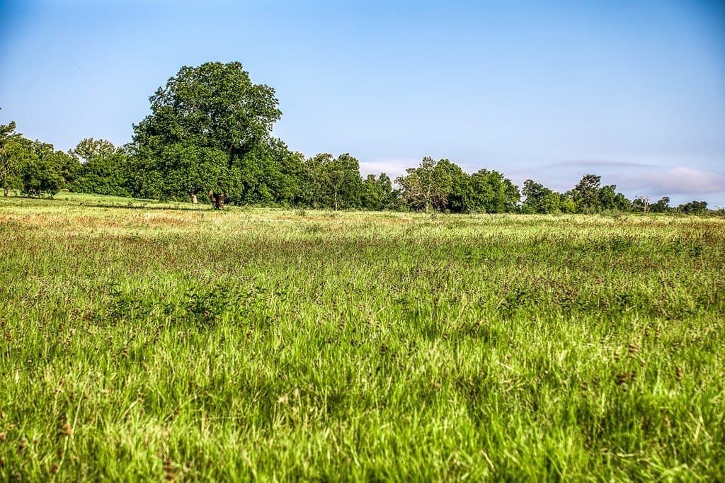 15.21 acres in Washington County - photo 5