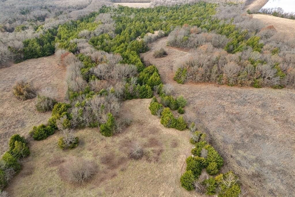 84.68 acres in Collin County - photo 12