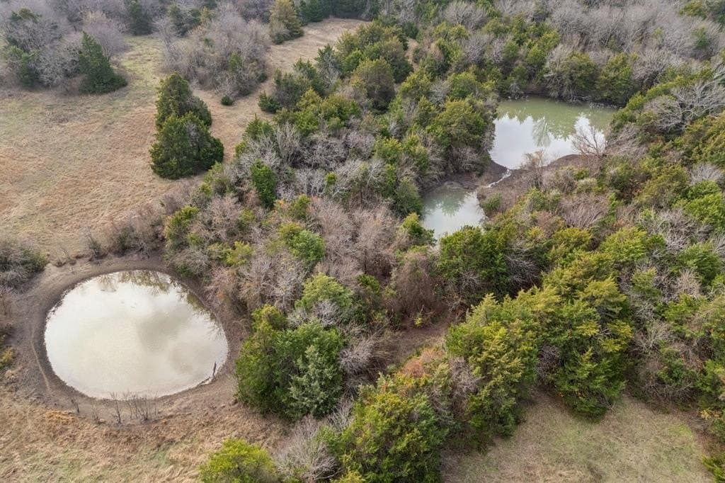 84.68 acres in Collin County - photo 7
