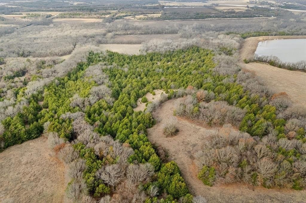 84.68 acres in Collin County - photo 9