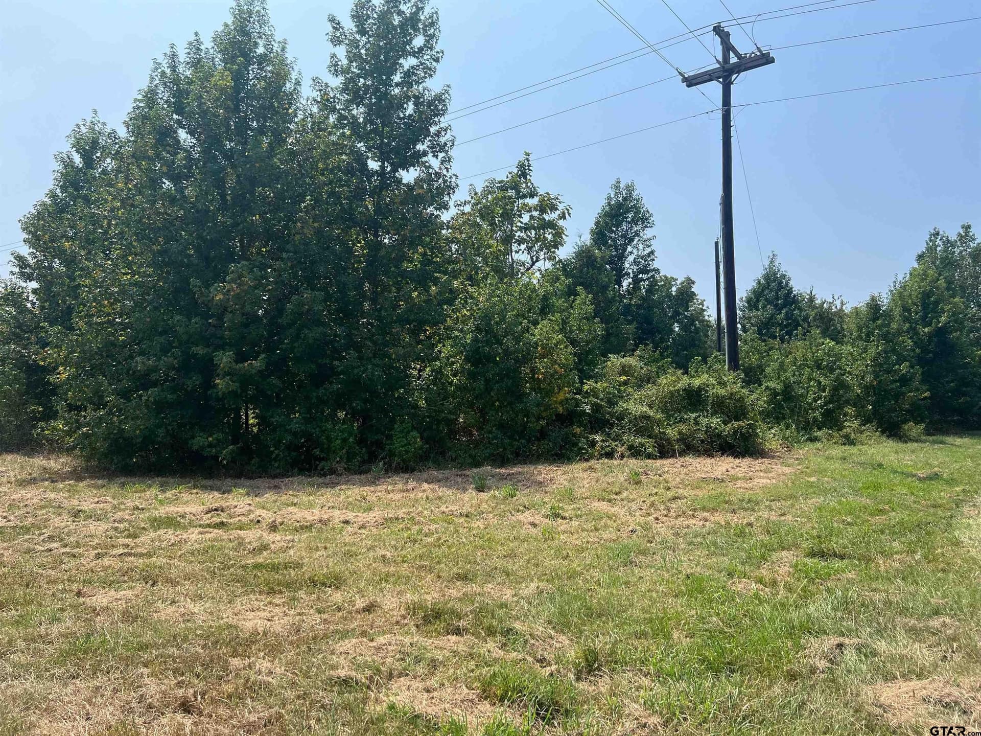 1.2 acres in Titus County - photo 2