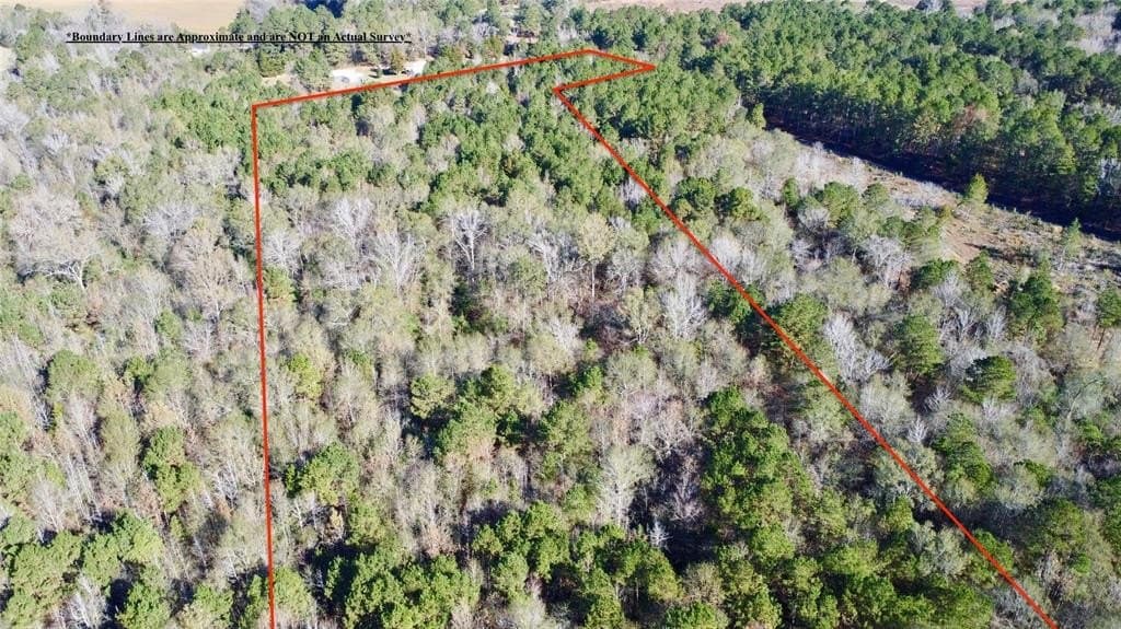 14.18 acres in Cass County - photo 4