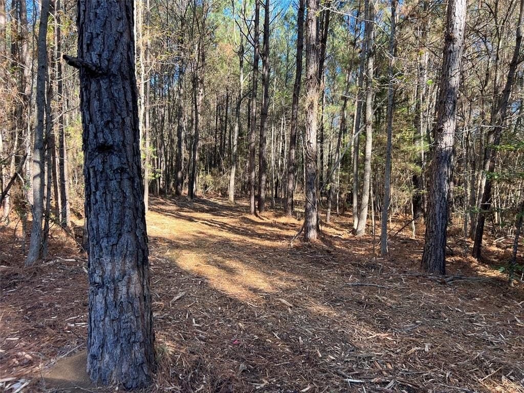 14.18 acres in Cass County - photo 6