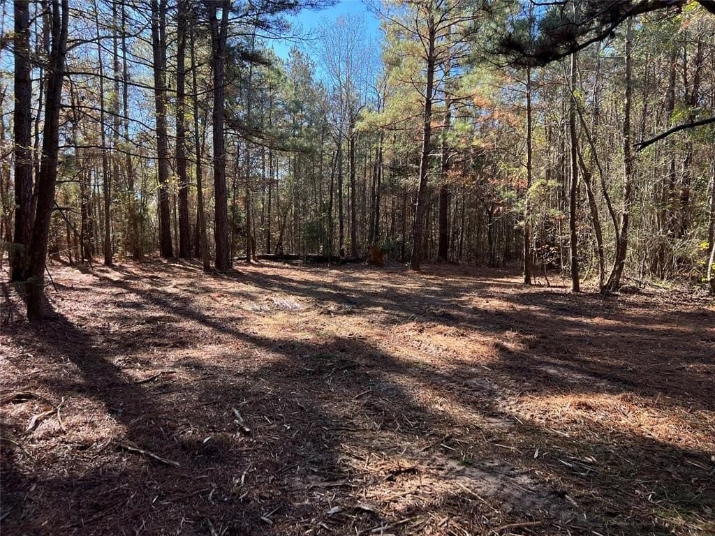 14.18 acres in Cass County - photo 9