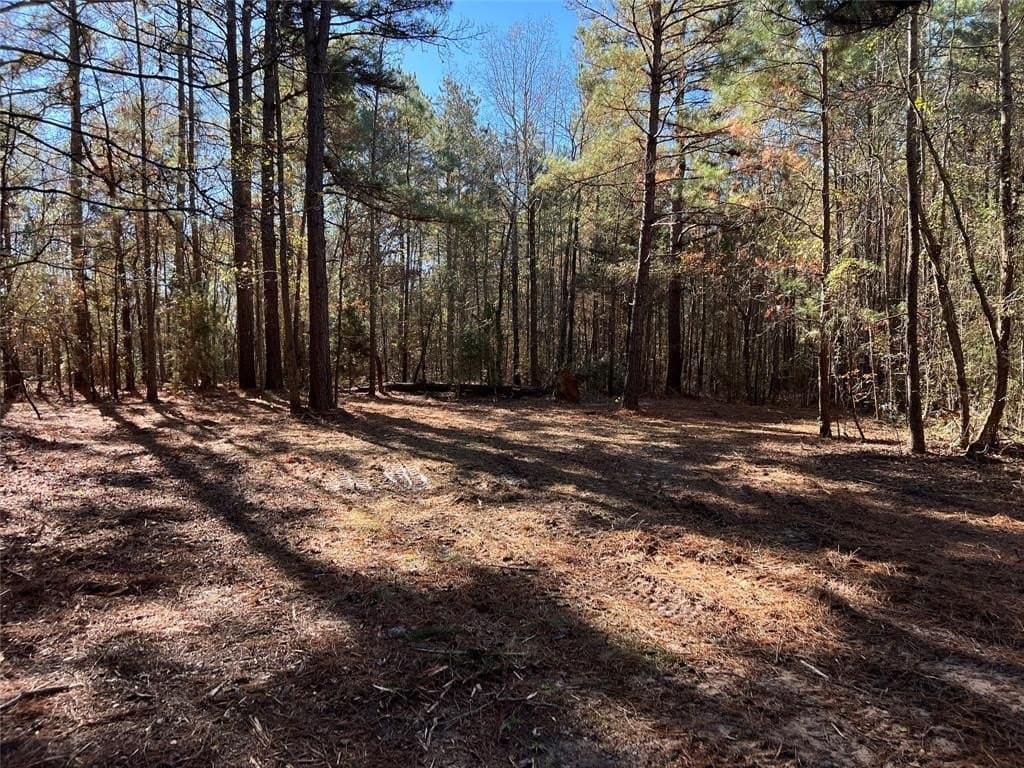 14.18 acres in Cass County - photo 8