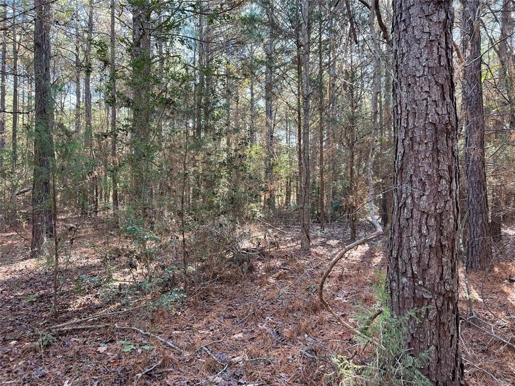 14.18 acres in Cass County - photo 7