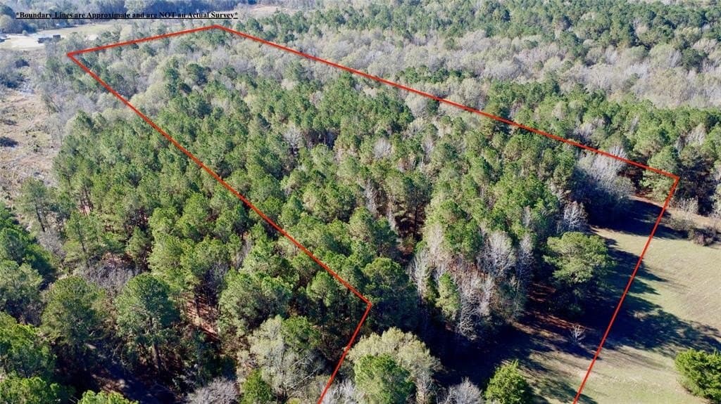 14.18 acres in Cass County - photo 2