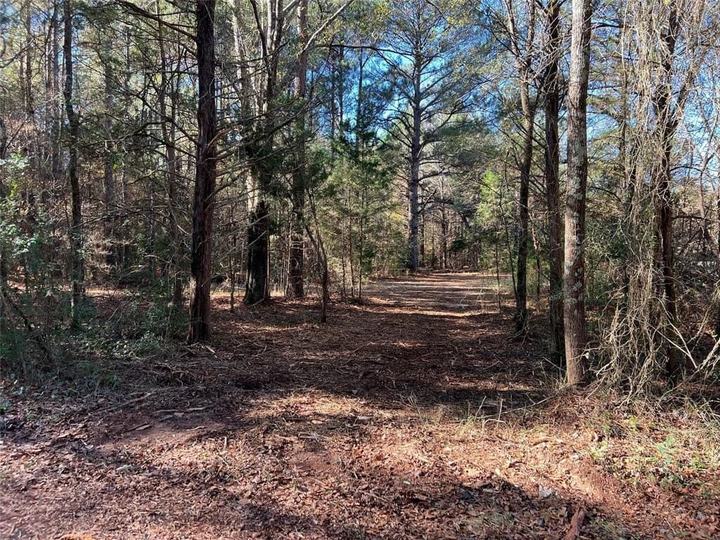 14.18 acres in Cass County - photo 11