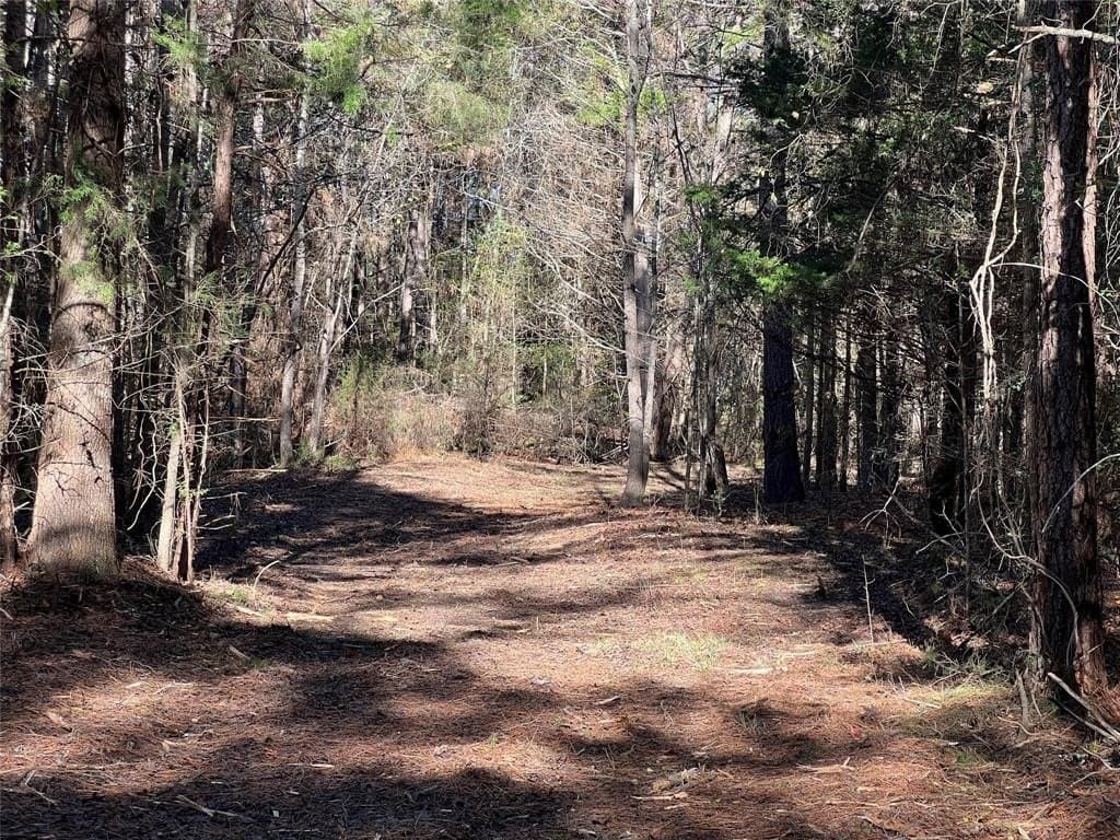 14.18 acres in Cass County - photo 10