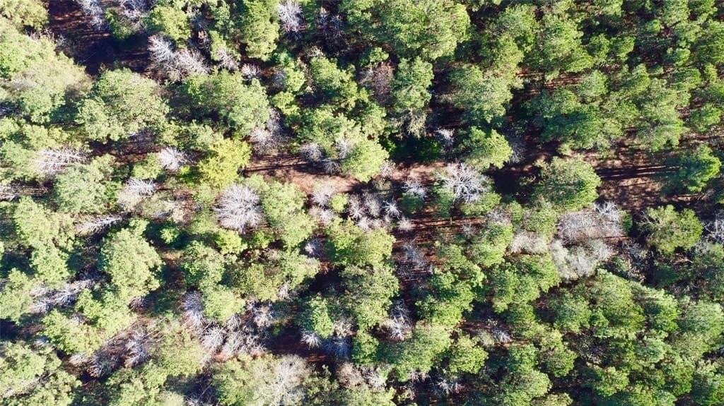 14.18 acres in Cass County - photo 3