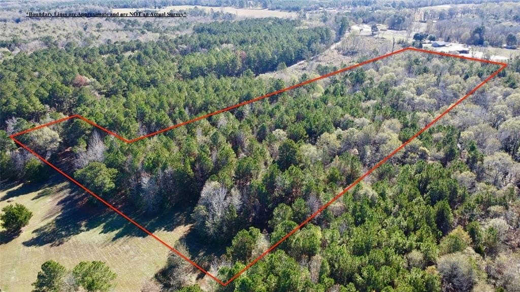 14.18 acres in Cass County - photo 5