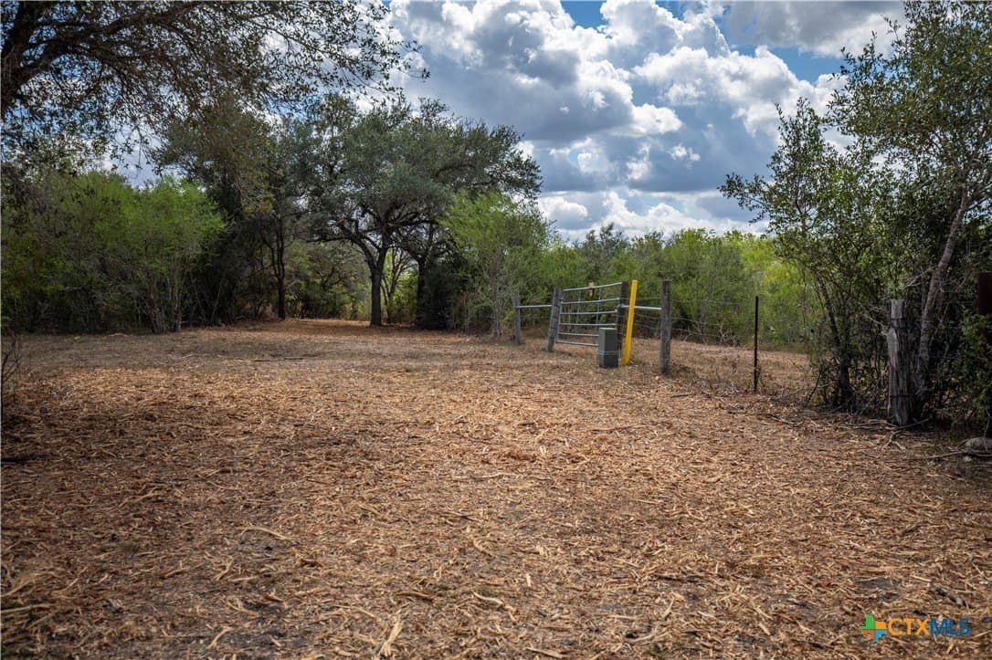 55 acres in DeWitt County - photo 34
