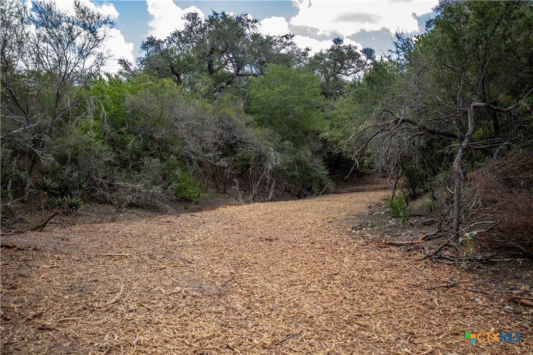 55 acres in DeWitt County - photo 26