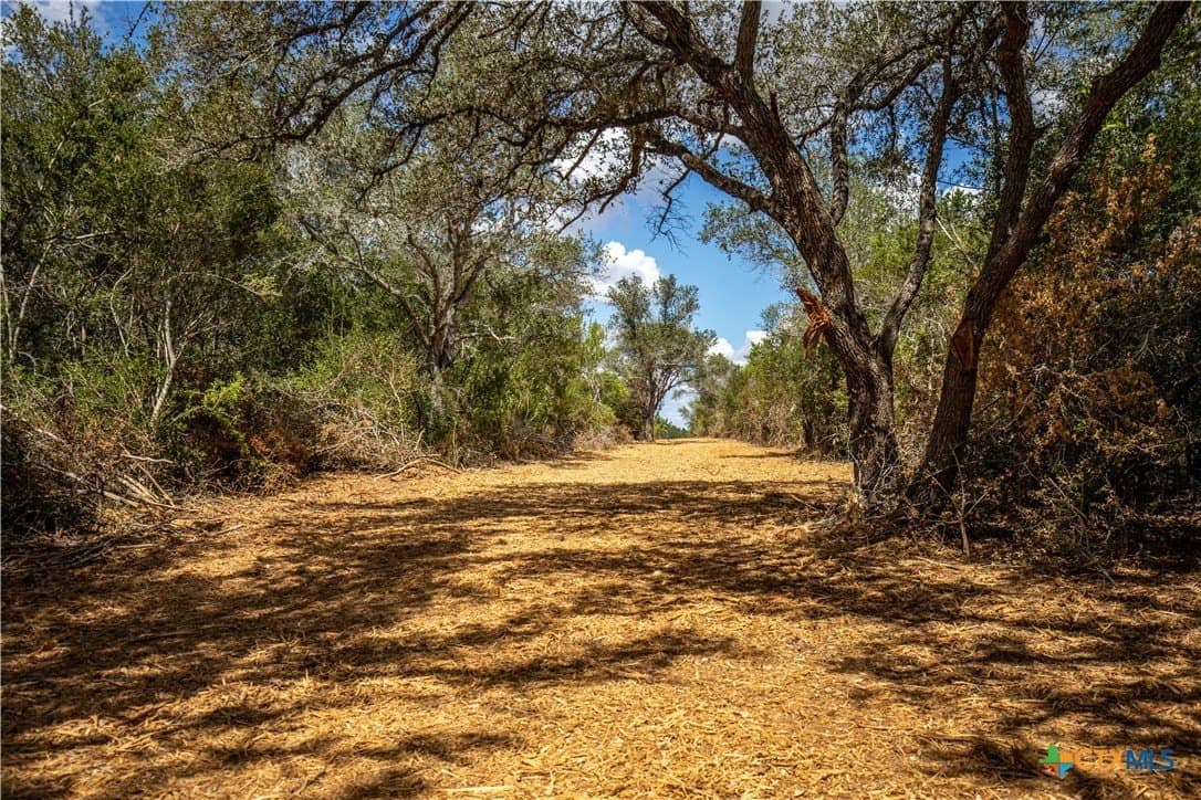 55 acres in DeWitt County - photo 17