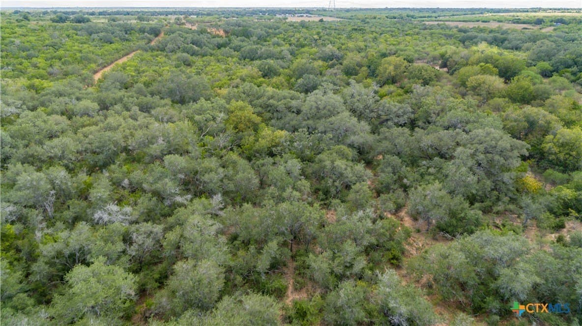 55 acres in DeWitt County - photo 7