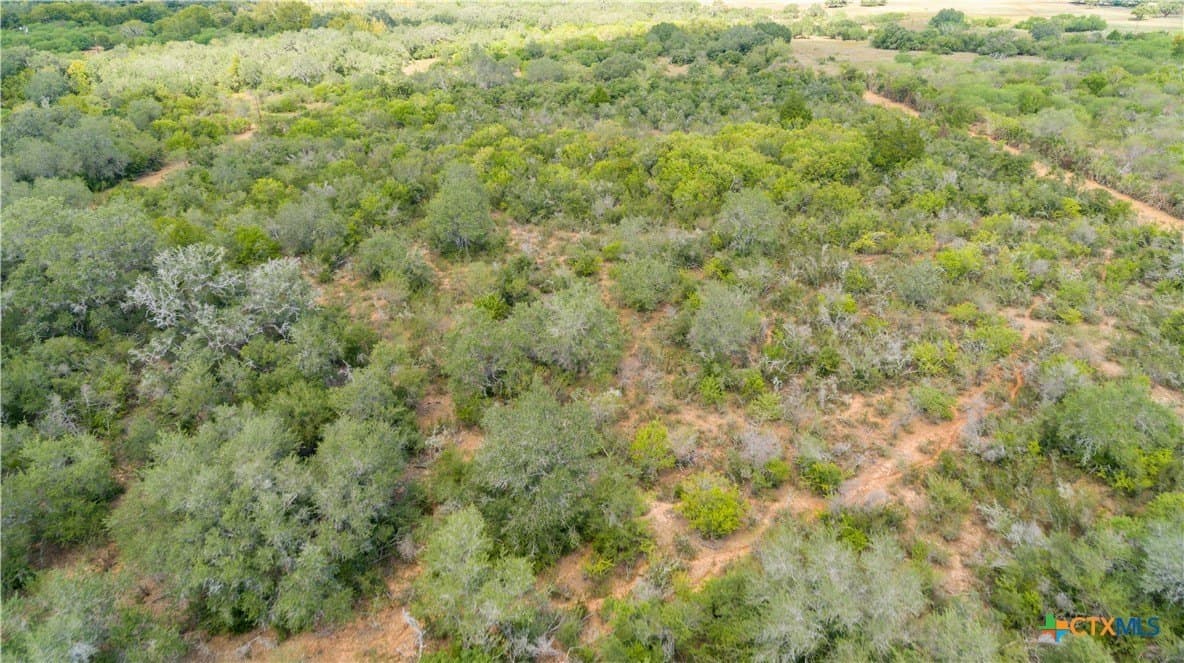55 acres in DeWitt County - photo 5