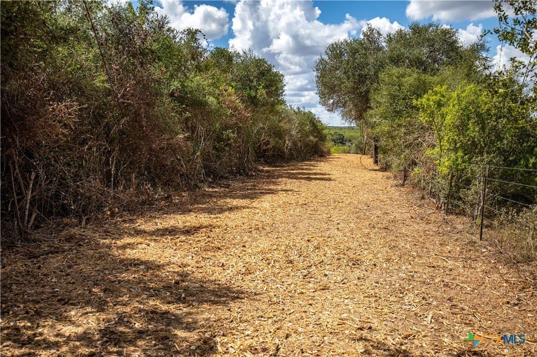 55 acres in DeWitt County - photo 19