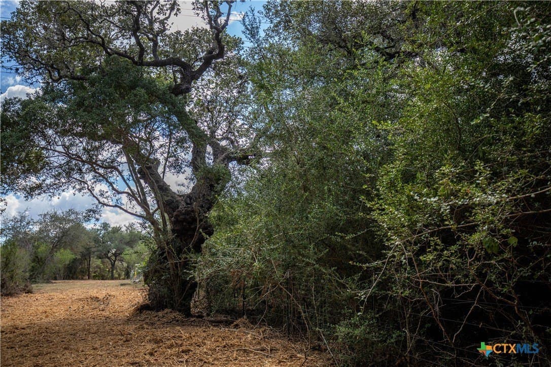 55 acres in DeWitt County - photo 33