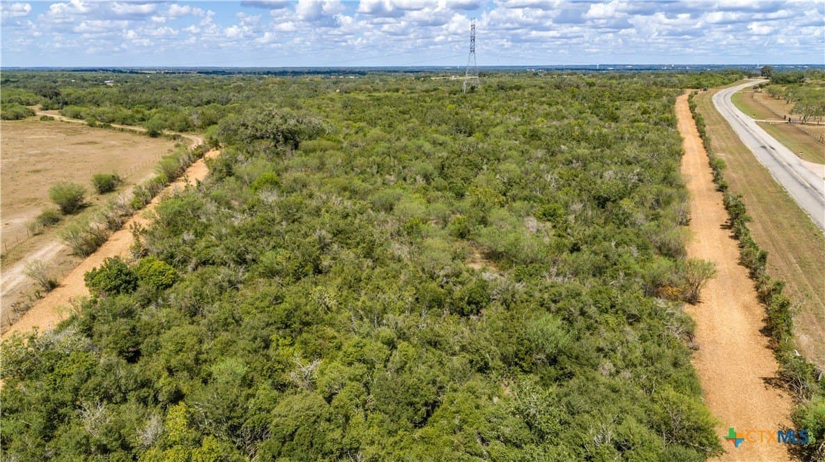 55 acres in DeWitt County - photo 9
