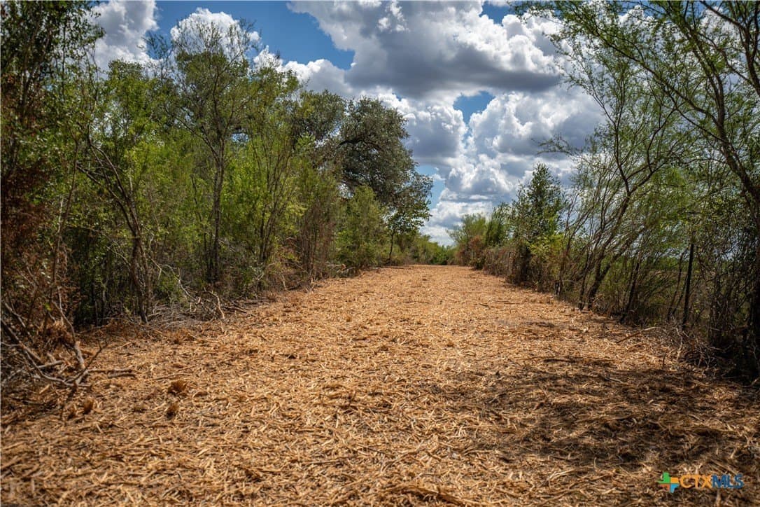55 acres in DeWitt County - photo 38