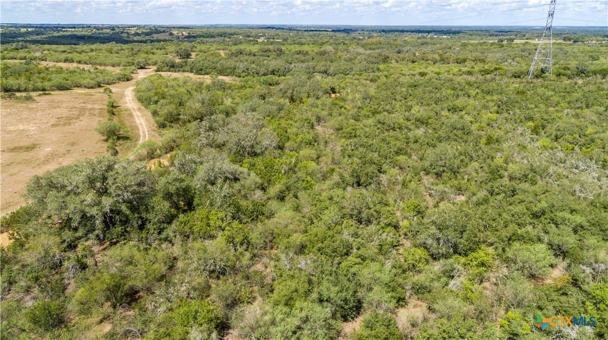 55 acres in DeWitt County - photo 10