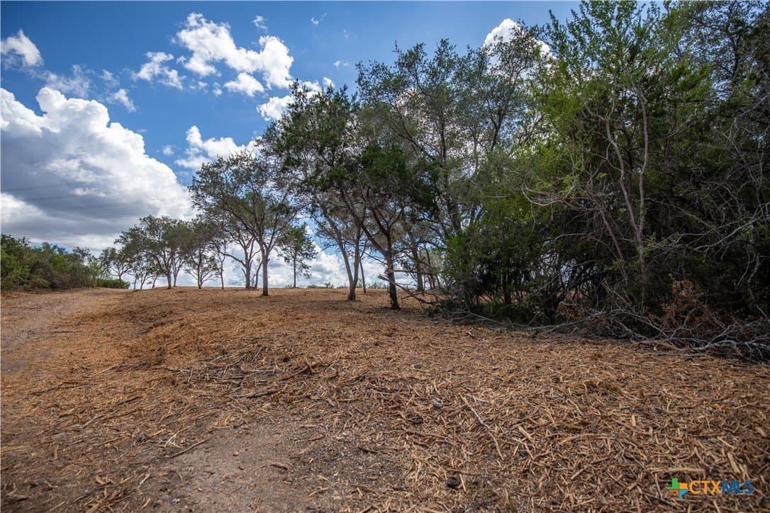 55 acres in DeWitt County - photo 43