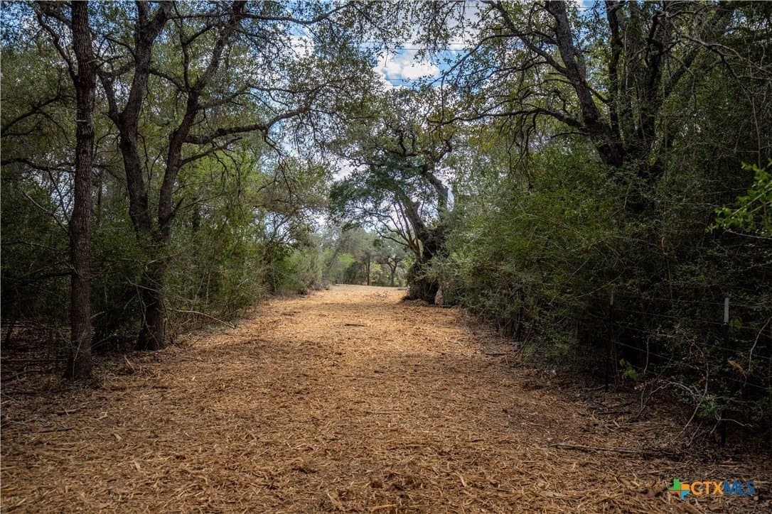 55 acres in DeWitt County - photo 32