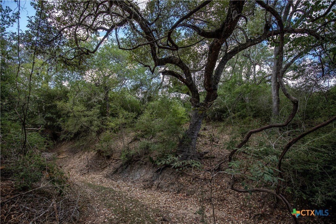 55 acres in DeWitt County - photo 28