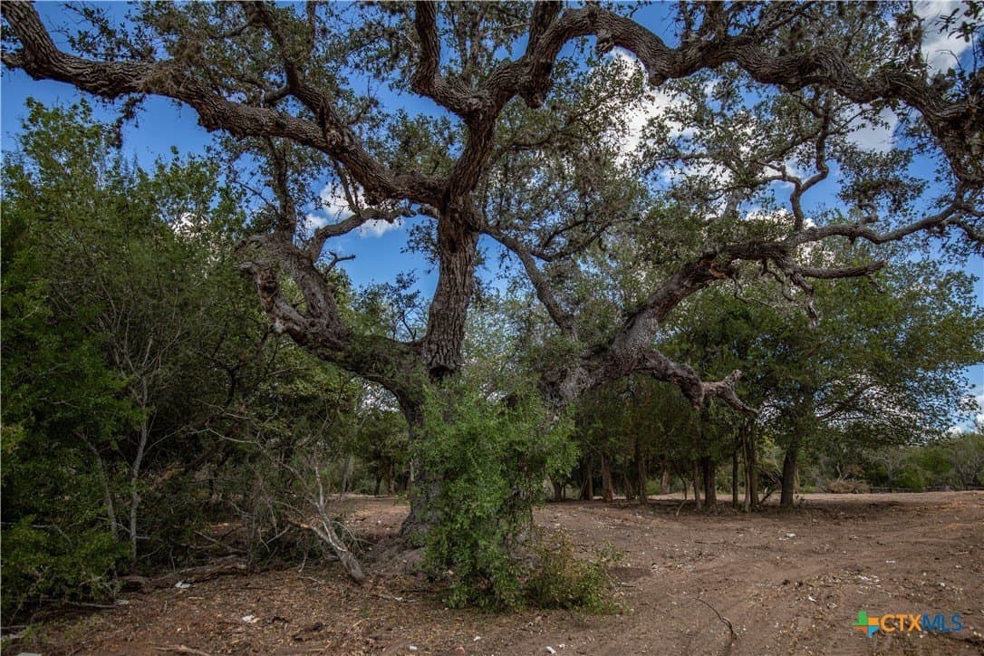55 acres in DeWitt County - photo 42