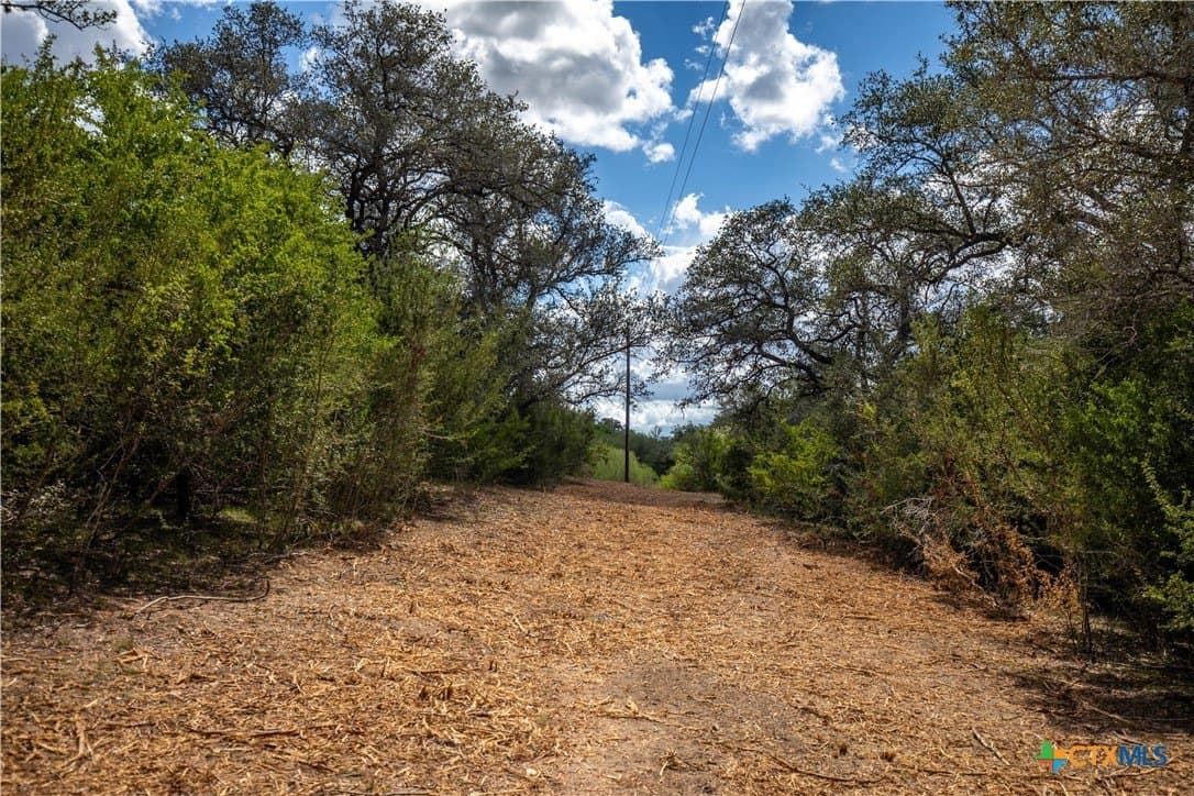 55 acres in DeWitt County - photo 22