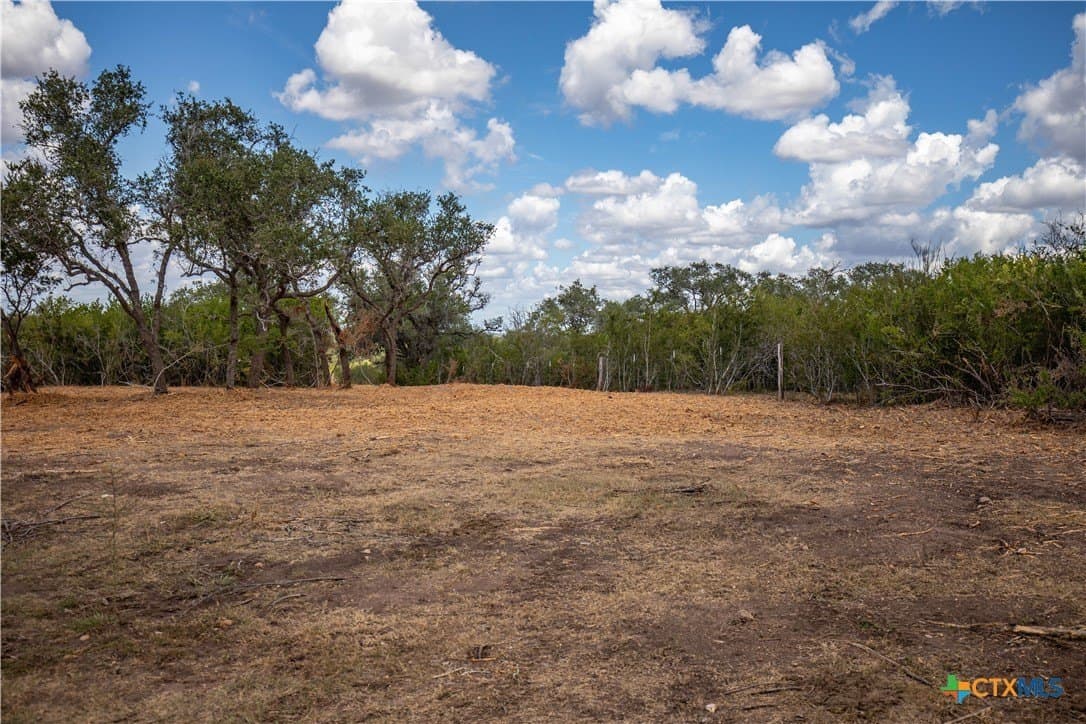 55 acres in DeWitt County - photo 12