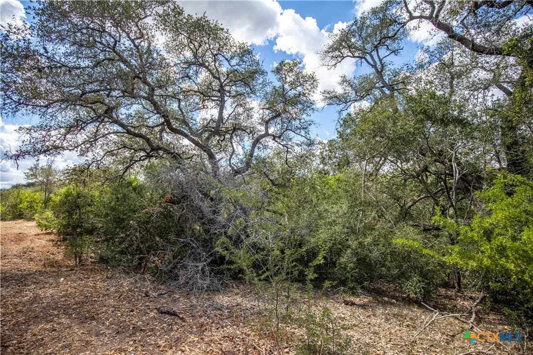 55 acres in DeWitt County - photo 23