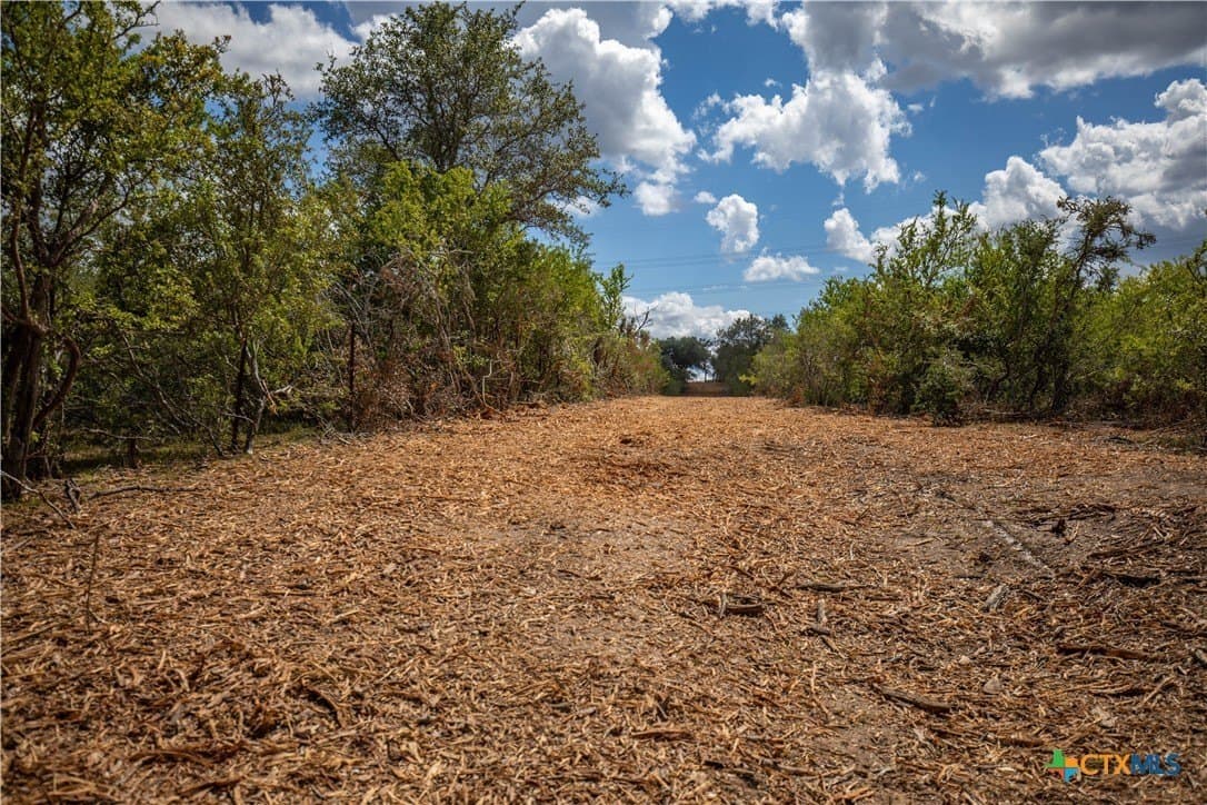 55 acres in DeWitt County - photo 40