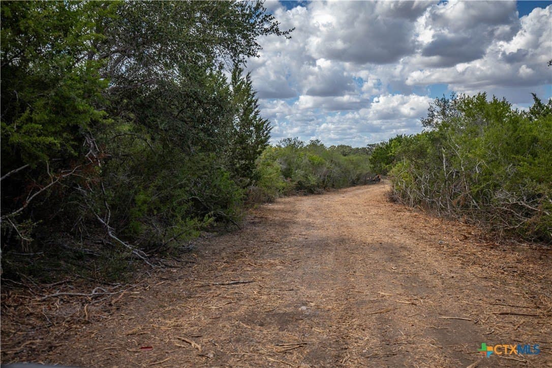 55 acres in DeWitt County - photo 41