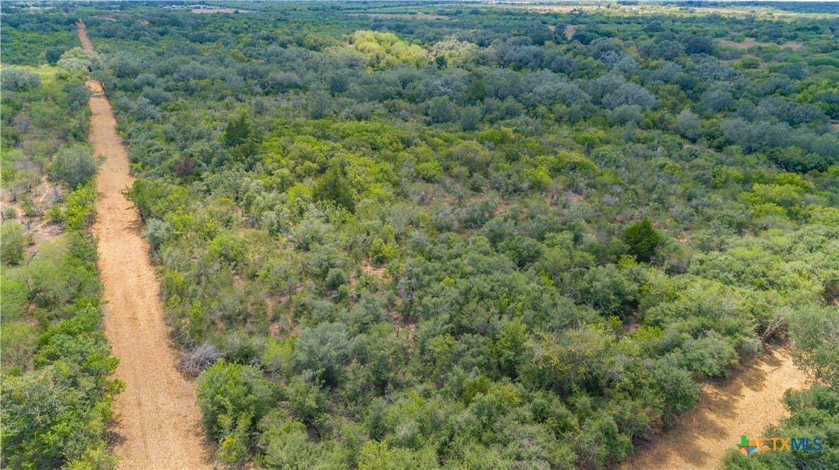 55 acres in DeWitt County - photo 8