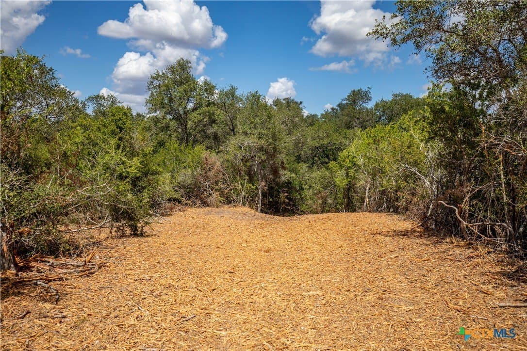 55 acres in DeWitt County - photo 14
