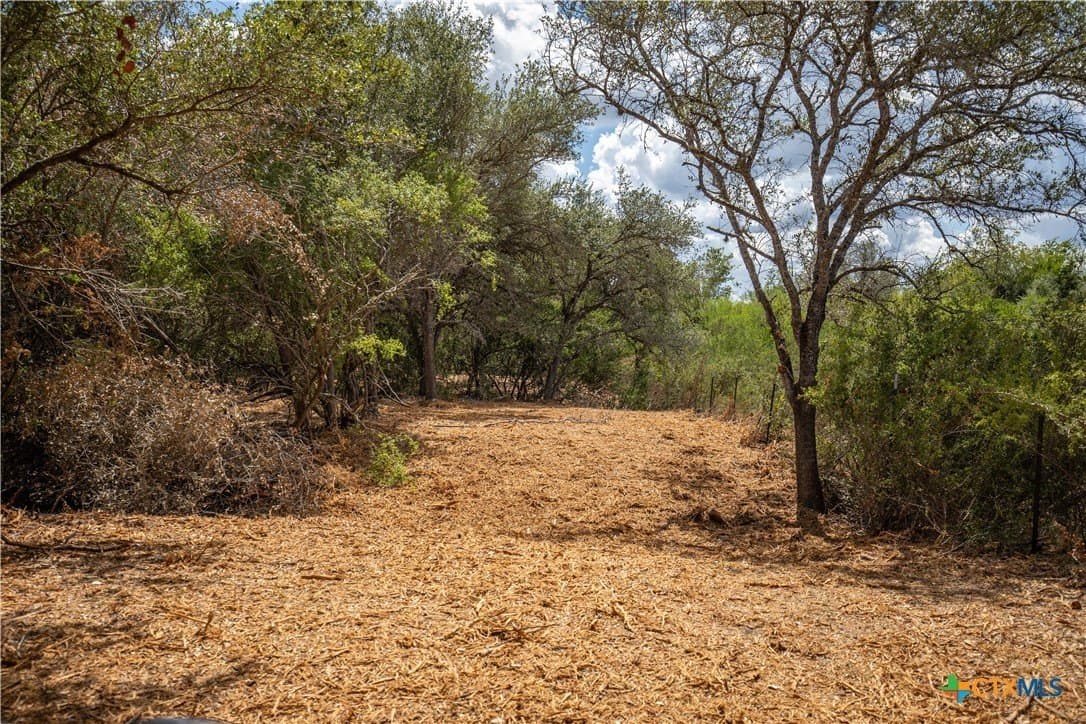 55 acres in DeWitt County - photo 36