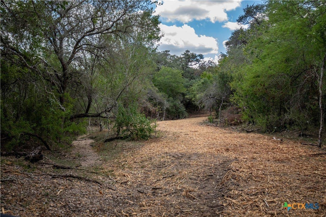 55 acres in DeWitt County - photo 25
