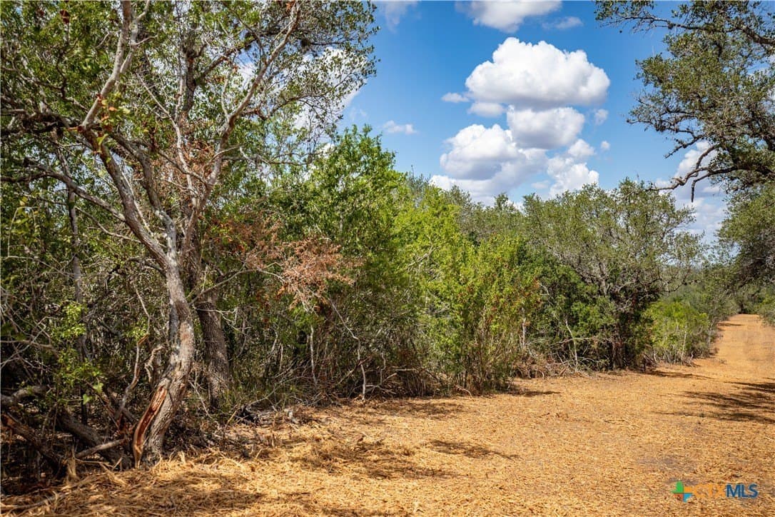 55 acres in DeWitt County - photo 13