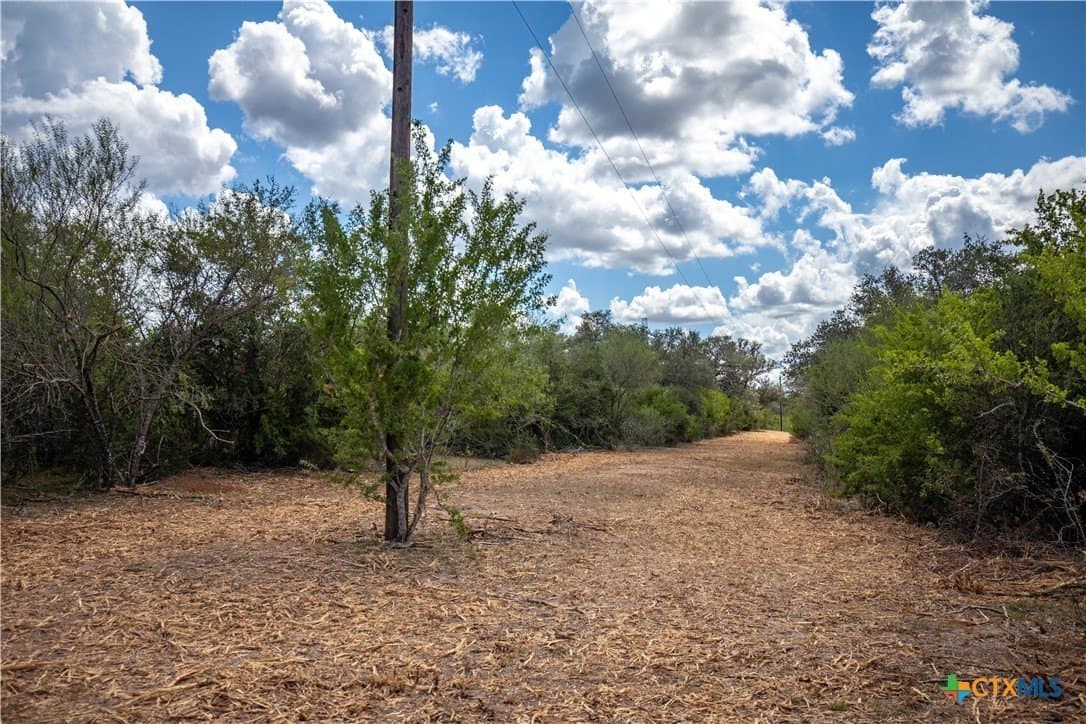 55 acres in DeWitt County - photo 21